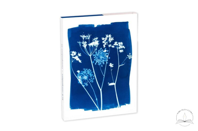 Correspondence set Cyanotype by Clairefontaine 1