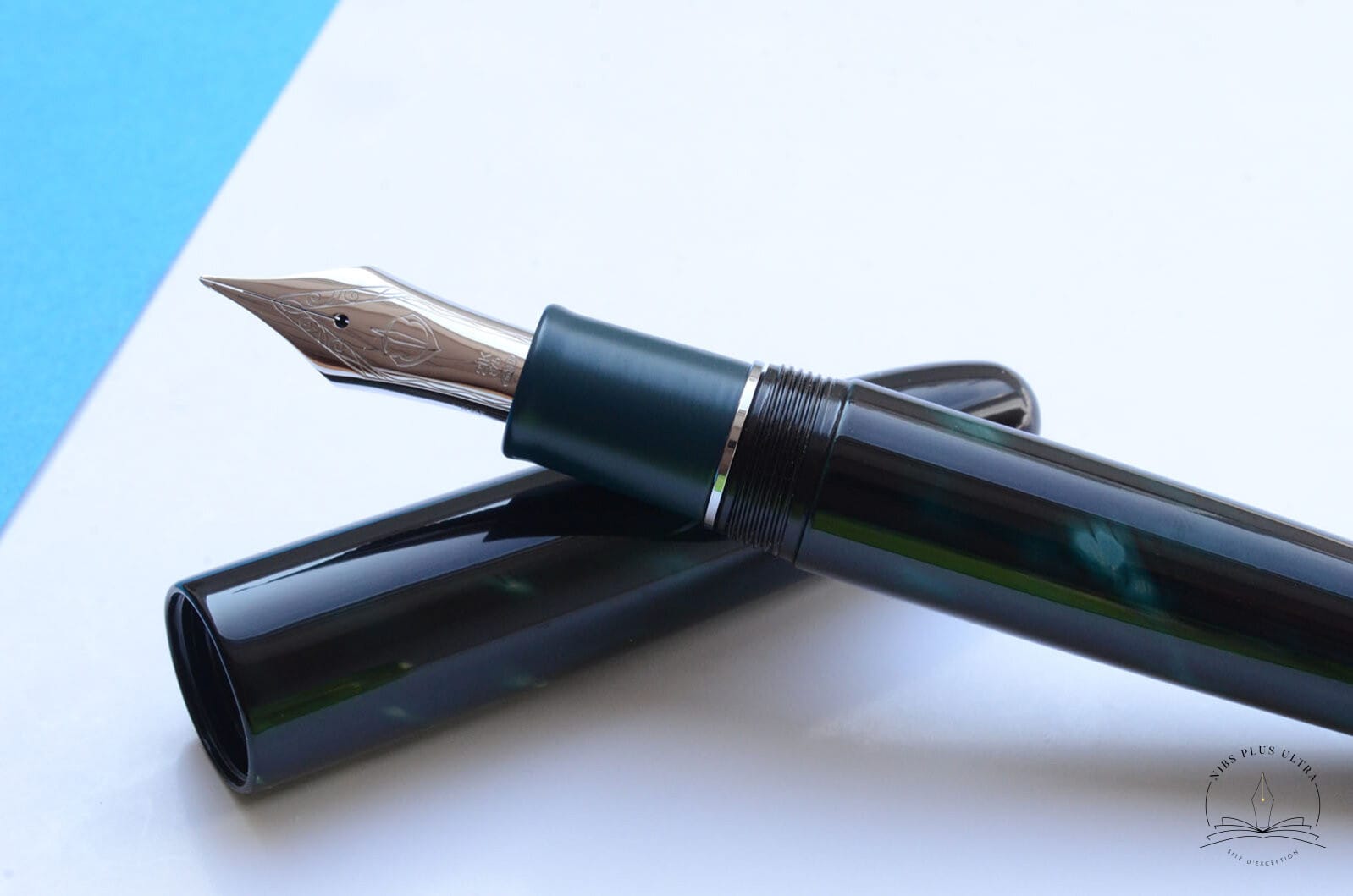 Stylo-plume King of Pens Tame-sukashi Mono No Aware de Sailor 3