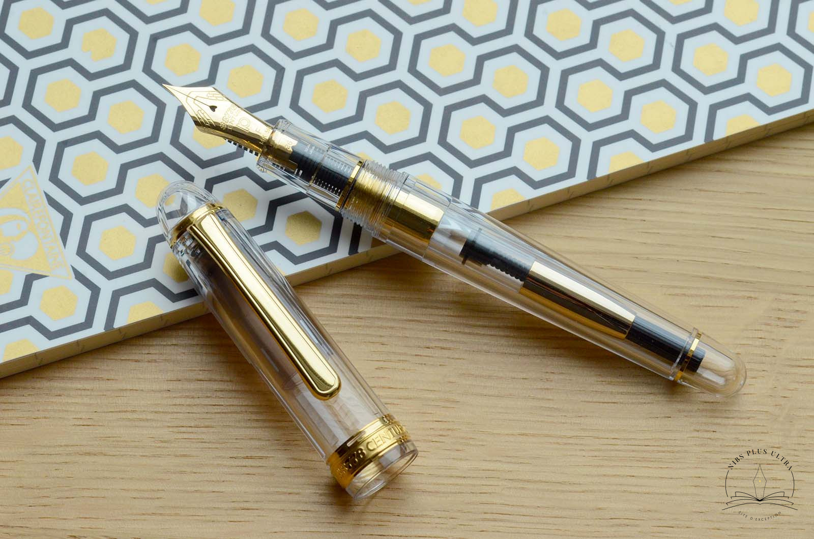 Stylo-plume 3776 Century Demonstrator 2.0 de Platinum 2
