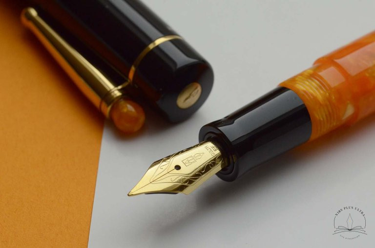 Wè Dolce Vita Fountain pen by Delta 3